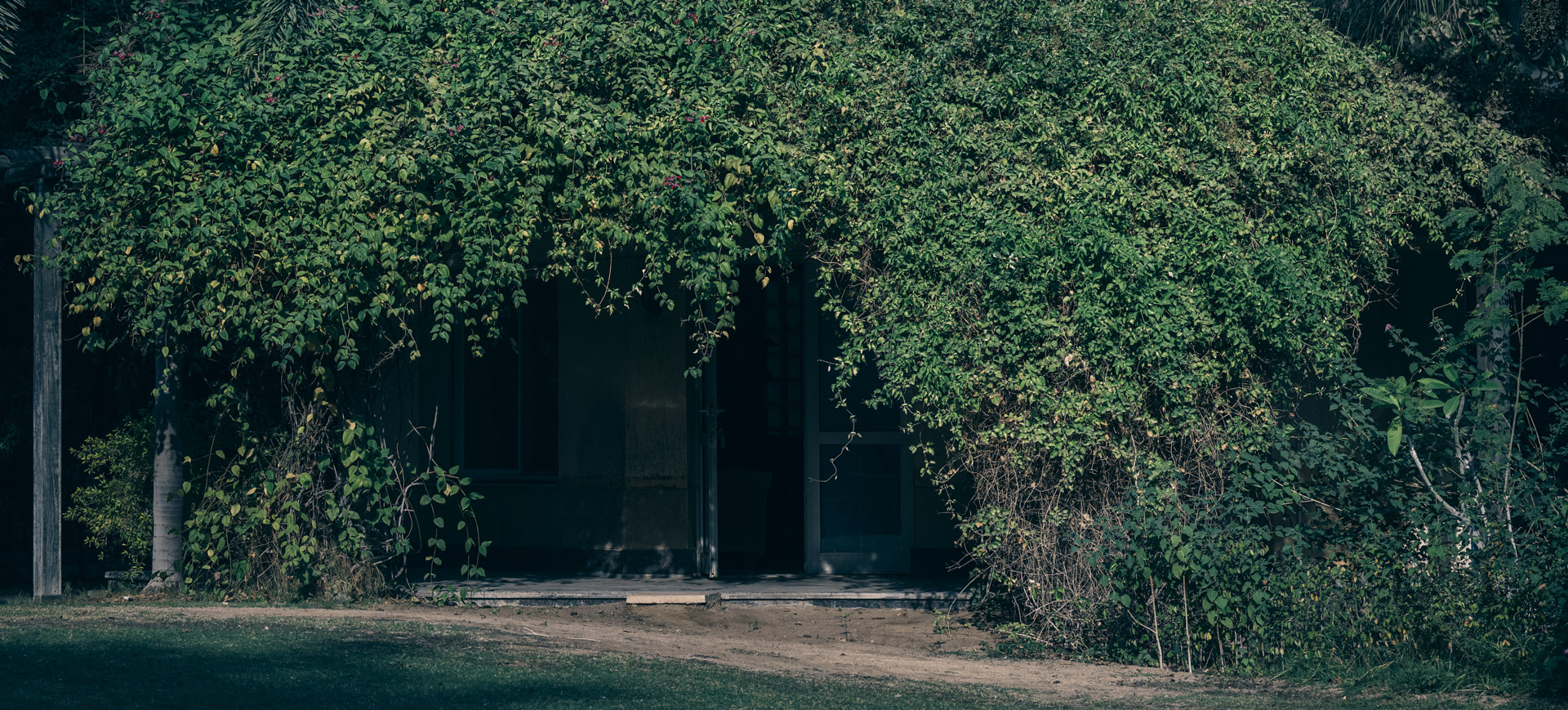 fine art equine photography by Wild at Heart